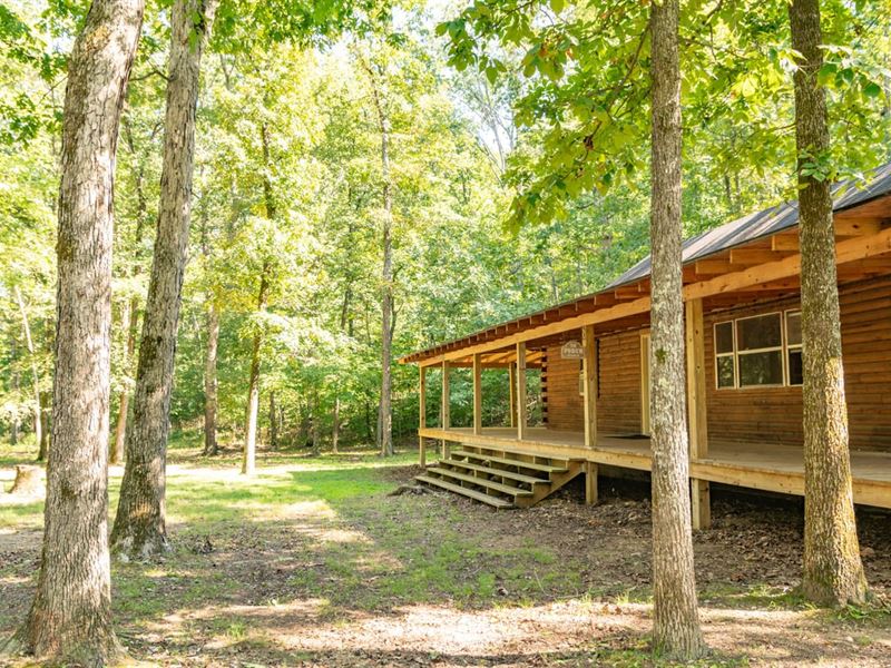25 Acres with Cabin in Wayne Co : Williamsville : Wayne County : Missouri