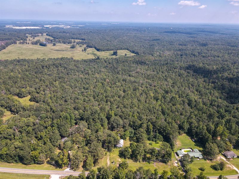 49 Acres Opelika City Limits : Opelika : Lee County : Alabama