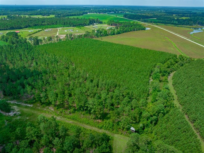 31 A-2 Tract : Aynor : Horry County : South Carolina