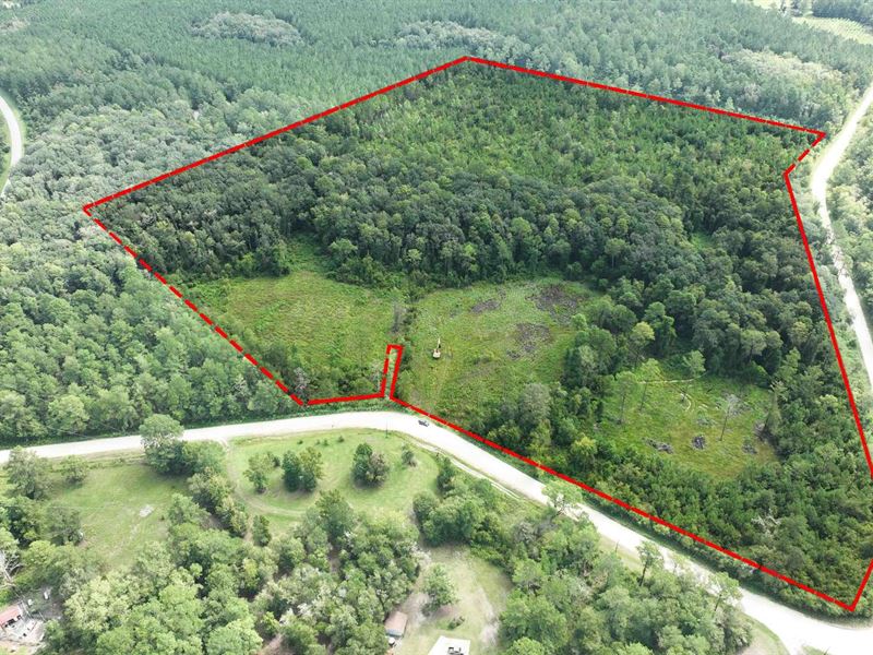 Sprawling 33 Acre Property : Wellborn : Suwannee County : Florida