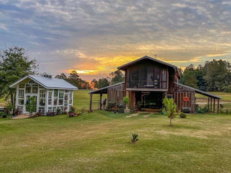 Hummingbird Haven : Danville : Wilkinson County : Georgia