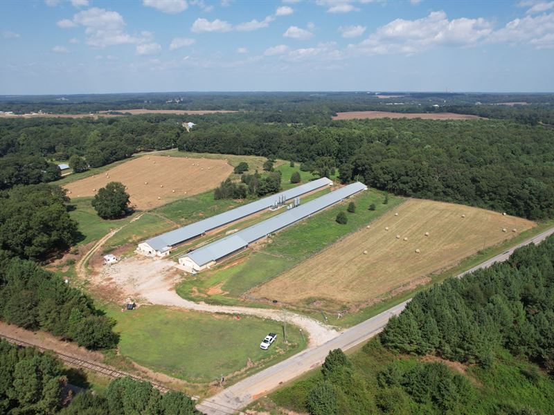 Dkh Breeder Farm : Royston : Hart County : Georgia