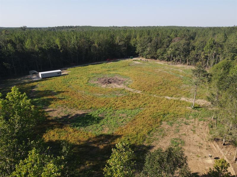 Burnt Creek Corn Tract : Repton : Conecuh County : Alabama