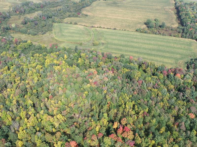 149 Acres Chippewa County : Cadott : Chippewa County : Wisconsin