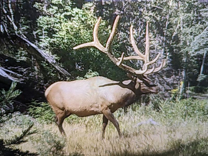 Martin Creek Ranch : Gardner : Huerfano County : Colorado