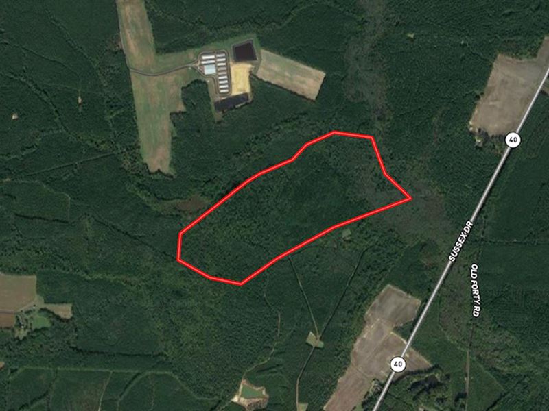 150 Deeded Acres : Waverly : Sussex County : Virginia