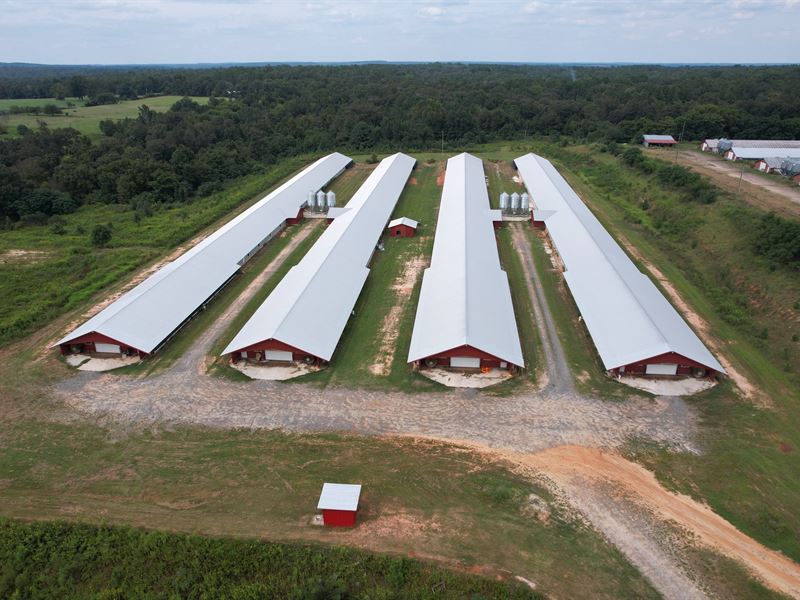 Breezy Bottom Farm : Fort Valley : Peach County : Georgia