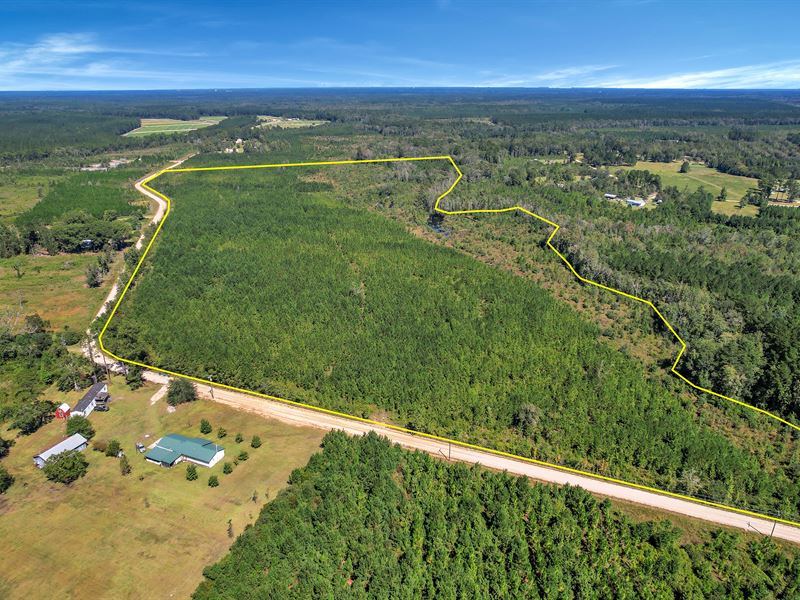 61.54 Acres, 711 Nursery Rd : Jesup : Wayne County : Georgia