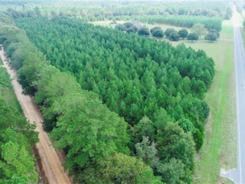 Bulloch Pines : Statesboro : Bulloch County : Georgia