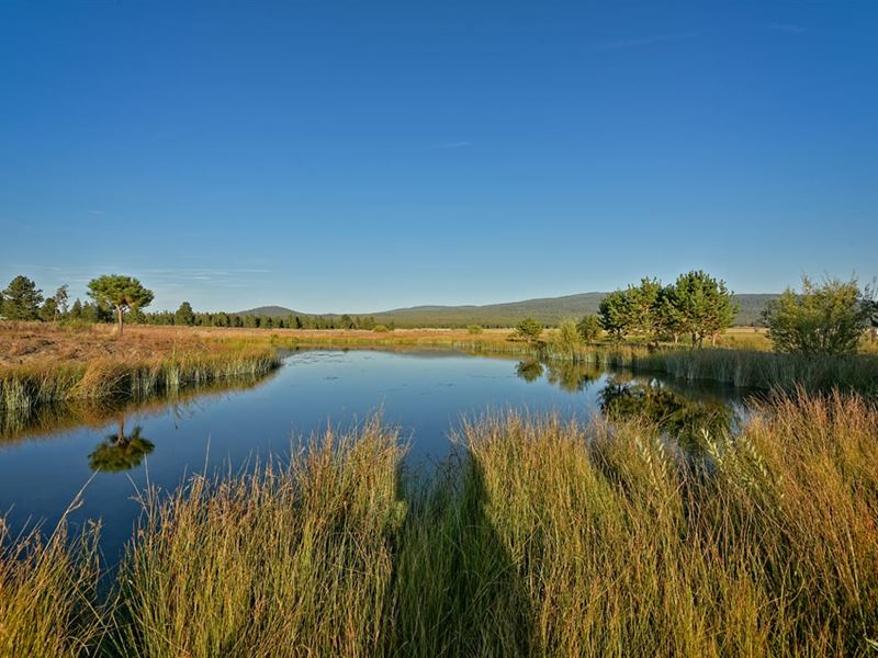 Jackson Creek Ranch : Chiloquin : Klamath County : Oregon