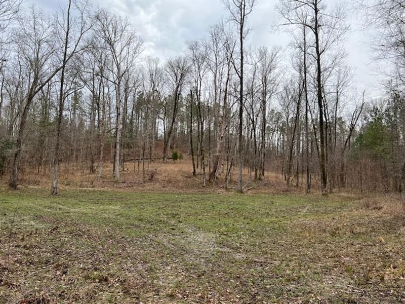 Highway 82 : Midway : Barbour County : Alabama