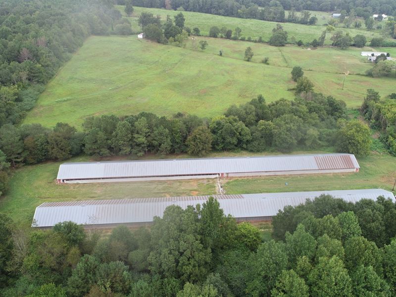 20 AC Minifarm Hwy 79 : Blountsville : Blount County : Alabama