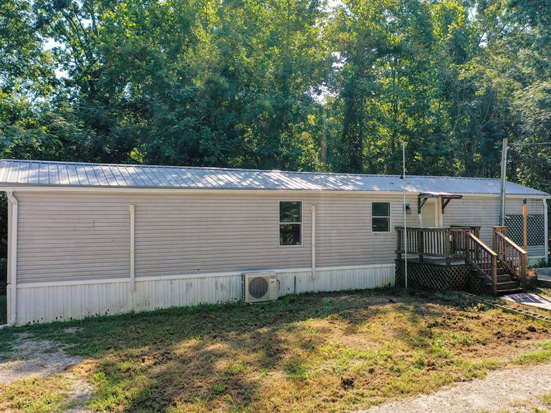 Peaceful Country Setting : Atwood : Carroll County : Tennessee