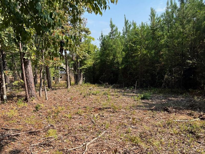 52 Acres Near Lake Martin in Tallap : Dadeville : Tallapoosa County : Alabama