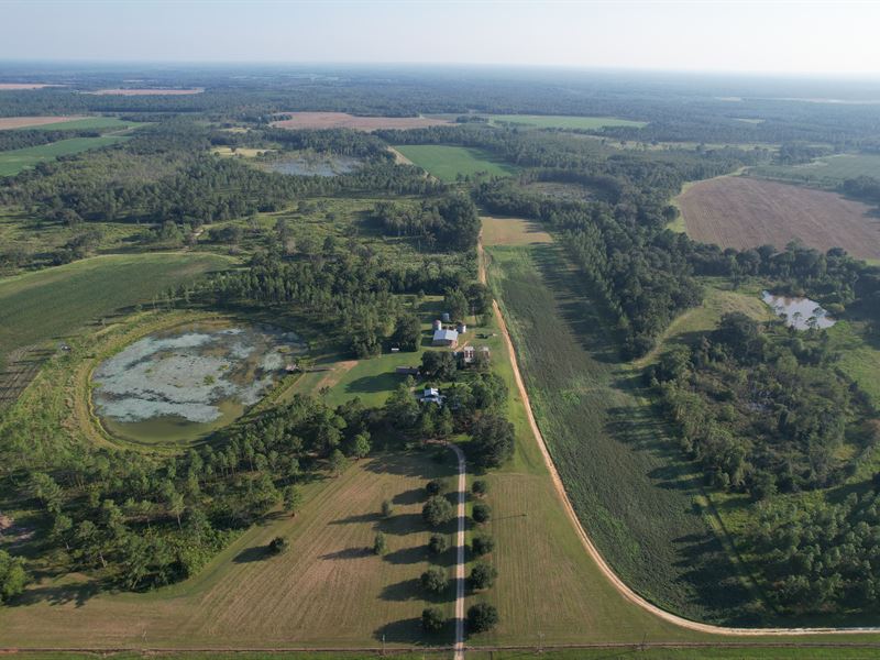 Farmland & Homestead Investment : Dawson : Terrell County : Georgia