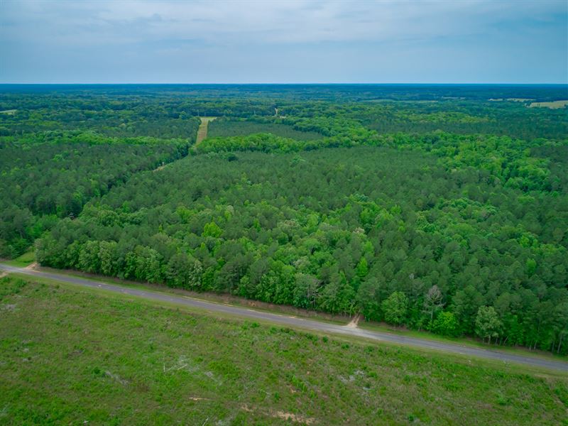Imperial Timberland Tract : Batesburg-Leesville : Saluda County : South Carolina