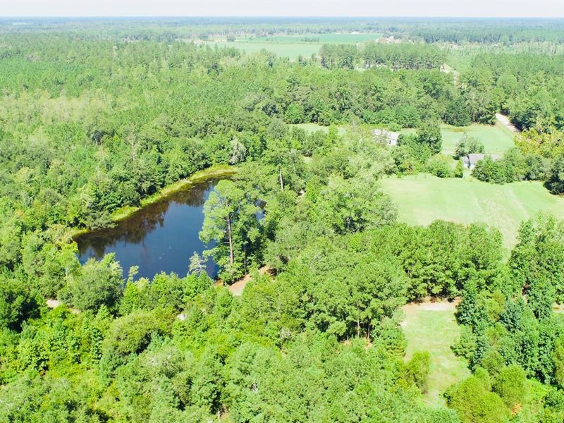 Pole Branch, Tract 1 : Brooklet : Bulloch County : Georgia