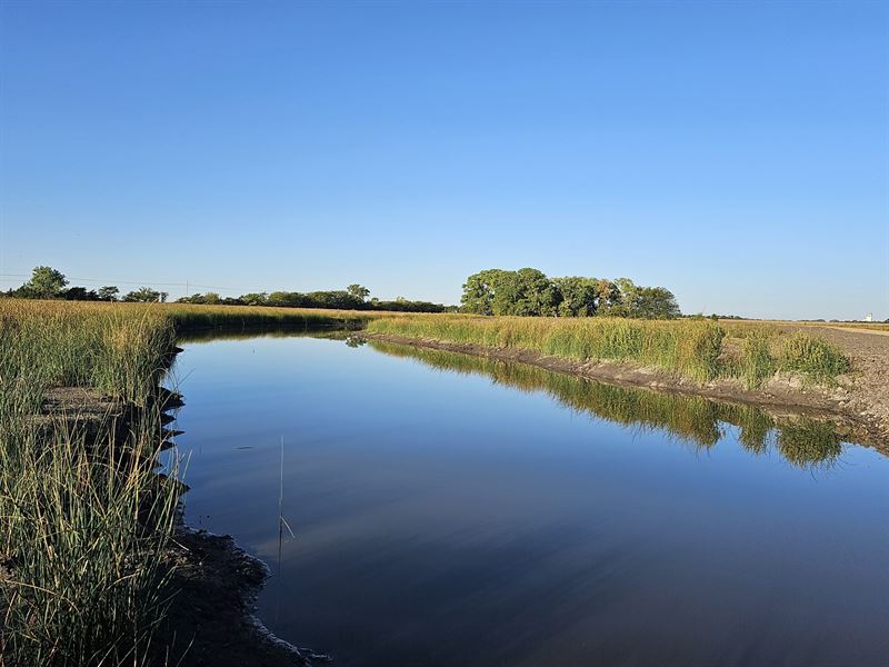 Rice County Ks, Waterfowl Wetlands : Lyons : Rice County : Kansas