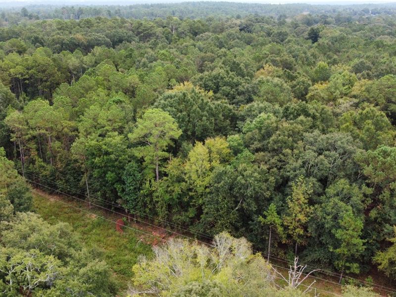 140 Acres Russell : Phenix City : Russell County : Alabama