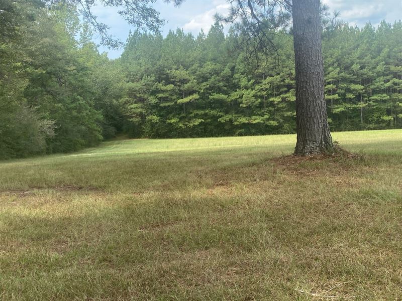 MS Lamar 48 Acres : Lumberton : Lamar County : Mississippi