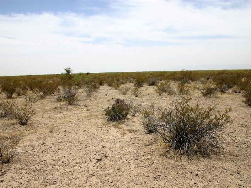 20 Acre Ranch to Call Your Own : Fort Hancock : Hudspeth County : Texas