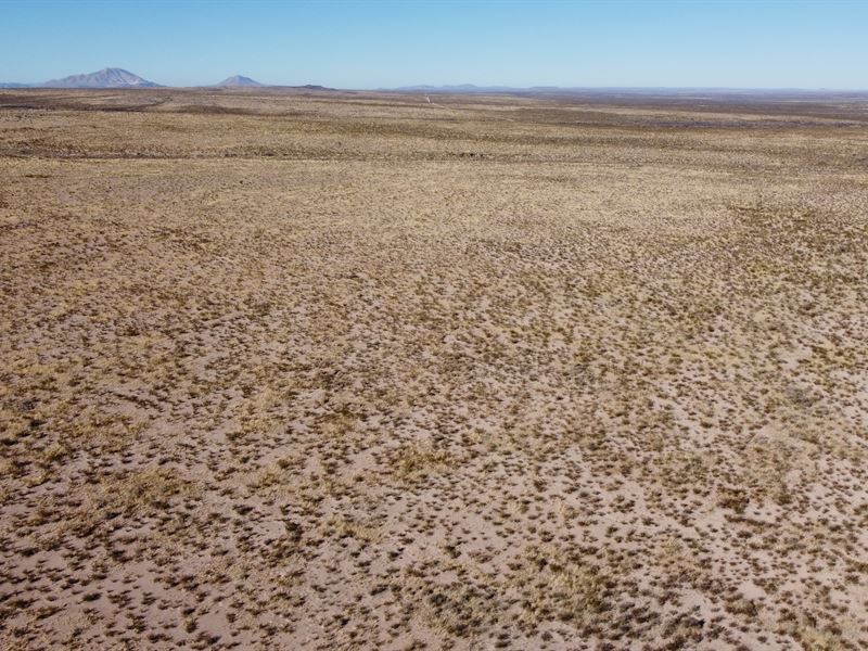 Open 20 Acre Plot, Mountain Views : Sierra Blanca : Hudspeth County : Texas