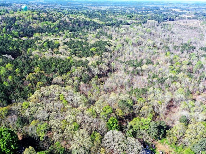 82.99 Acres in Anson County, NC : Wadesboro : Anson County : North Carolina