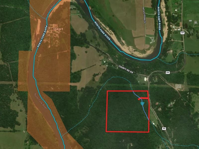 Recreational, Hunting, Timber Land : Tecumseh : Ozark County : Missouri