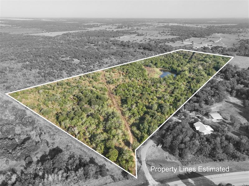 32.4 Wooded Acres in Fayette County : Flatonia : Fayette County : Texas