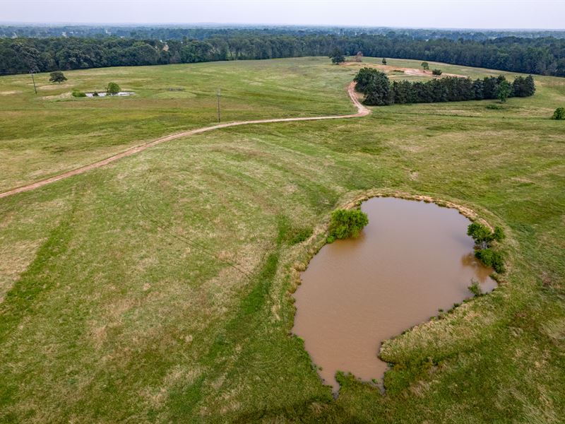 99 Acre Ranch, Wood County, TX : Winnsboro : Wood County : Texas
