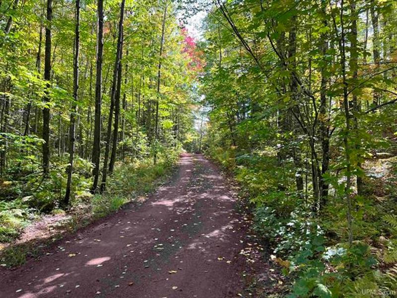 Wooded Recreational Property 501236 : Champion : Marquette County : Michigan