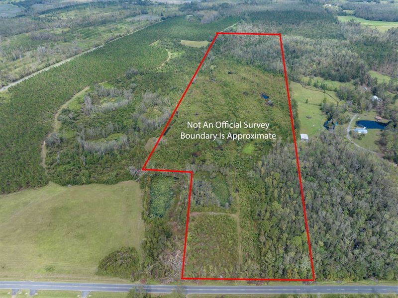 Hunting Land-7112 SW CR 360 : Madison : Madison County : Florida