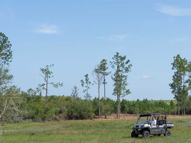 Big Acreage FL Gulf Coast : Altha : Calhoun County : Florida