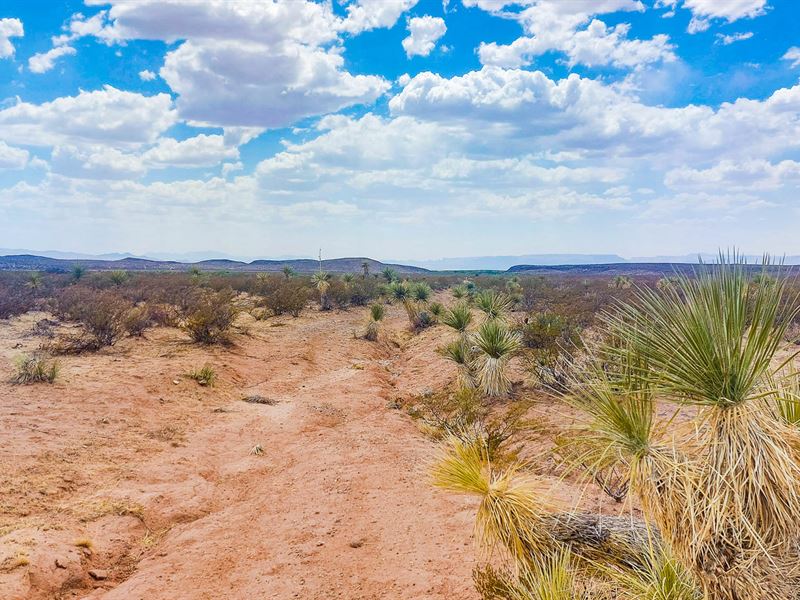 Texas Terrain and Mountain Views : Van Horn : Culberson County : Texas