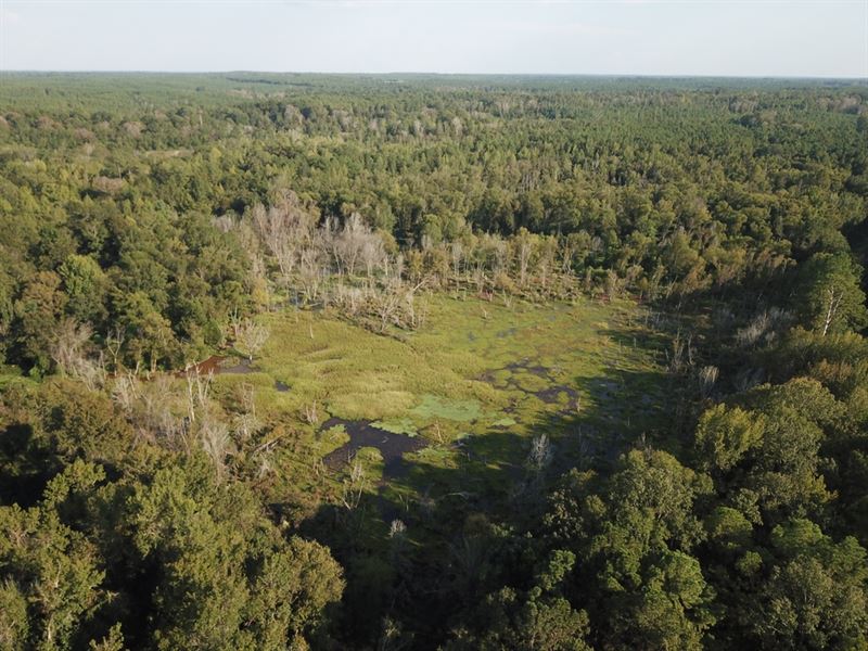 La, Ouachita 80 Acres : Columbia : Ouachita Parish : Louisiana
