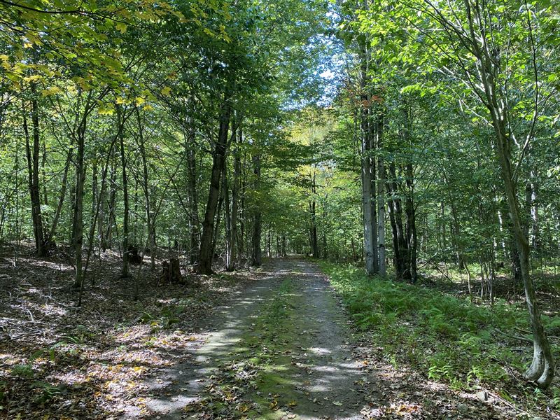 Land Near Oneida Lake : Constantia : Oswego County : New York