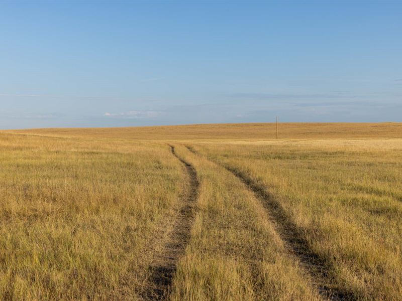 WY Ranch Property Absolute Auction, Ranch Auction in Wyoming, 360220