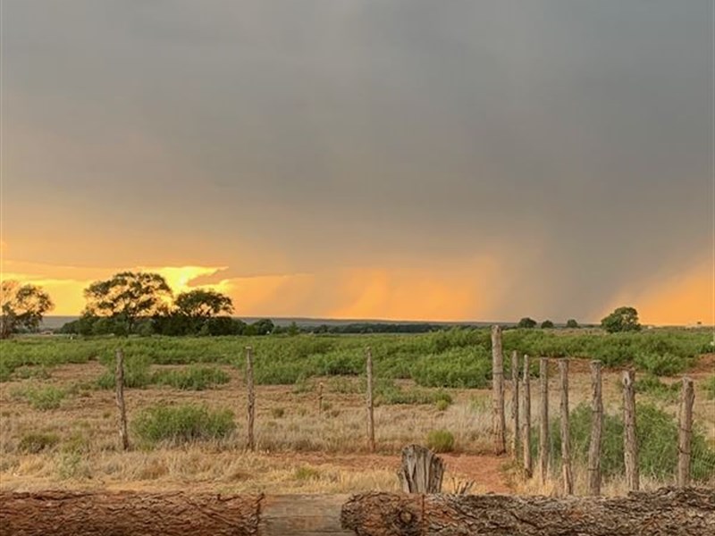Beautiful Rangeland Near Ft Sumner : Fort Sumner : De Baca County : New Mexico