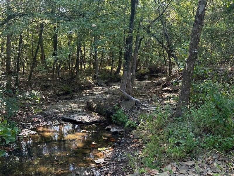 120 Acres in Shirley, Arkansas : Shirley : Van Buren County : Arkansas
