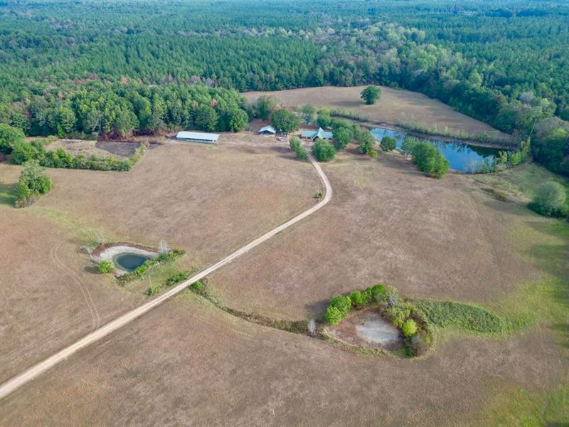 H & H Ranch, Amite County, MS : Liberty : Amite County : Mississippi
