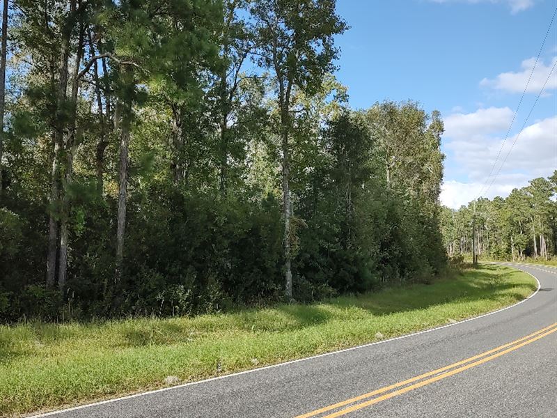 Acreage for Sale in Aurora, NC : Aurora : Beaufort County : North Carolina