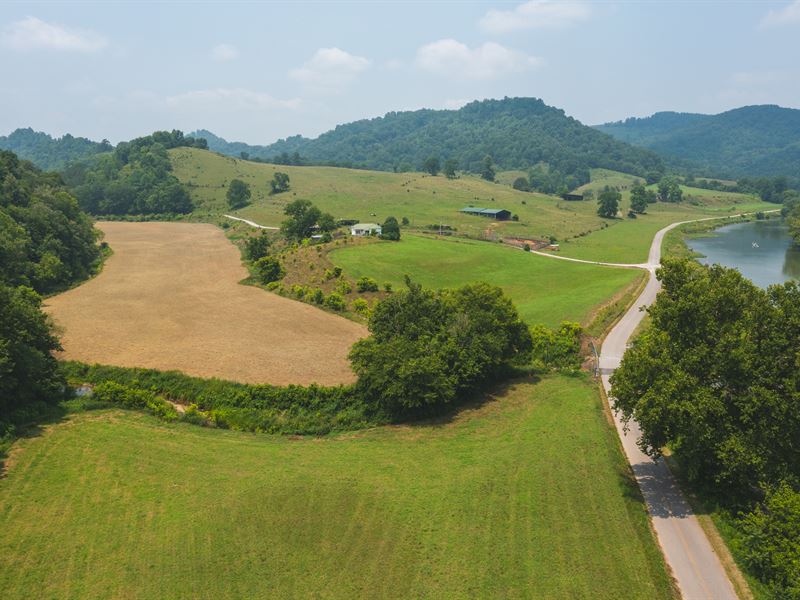 Farmland Auction in Tennessee, Ranch Auction in Tennessee, 360374
