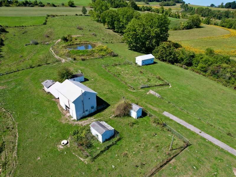 Parker Rd, Washington County, 96 : Avella : Washington County : Pennsylvania