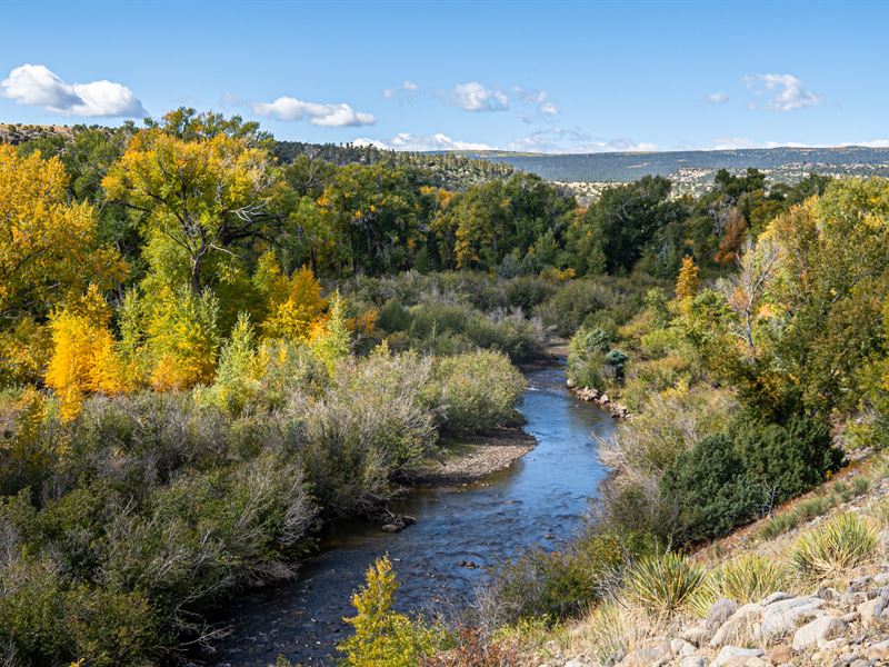 317 Acres in La Jara, Colorado : La Jara : Conejos County : Colorado