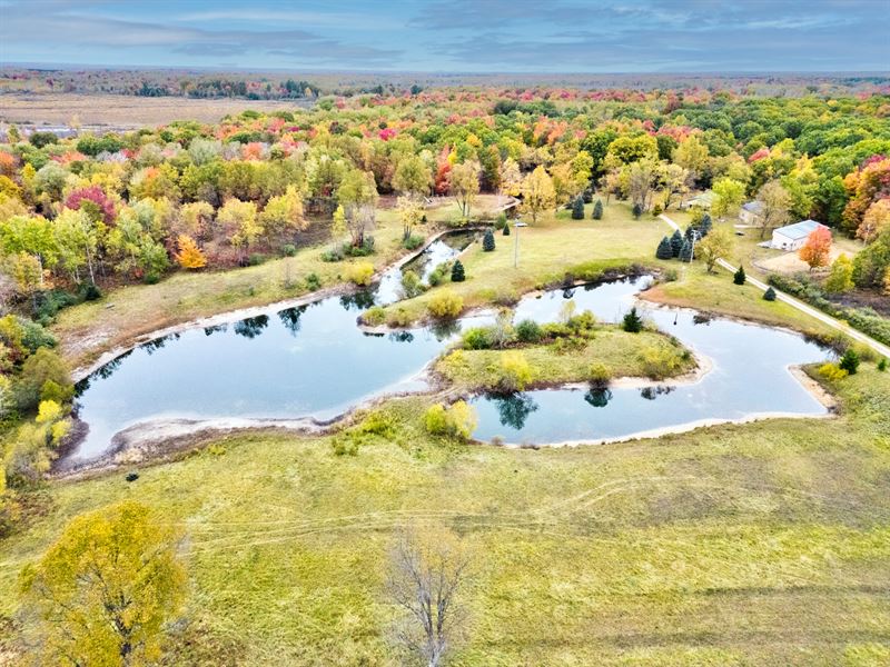 80 Acres in Sears, Michigan : Sears : Osceola County : Michigan