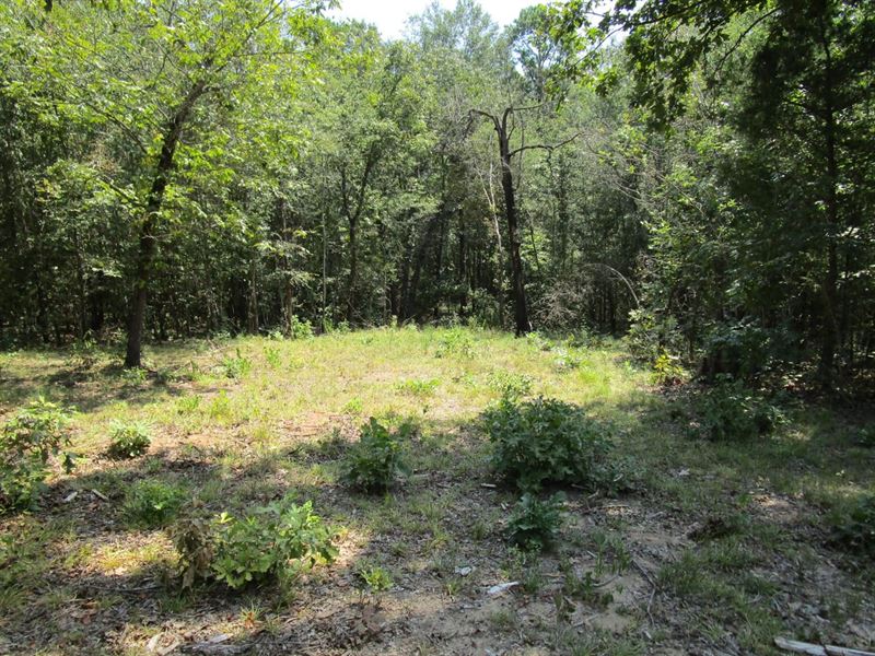 Tram Road Hunting Land Fort Towson : Fort Towson : Choctaw County : Oklahoma