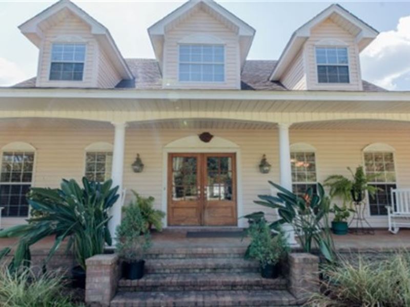 445 Acre Cattle Farm with A Home : Pelahatchie : Rankin County : Mississippi