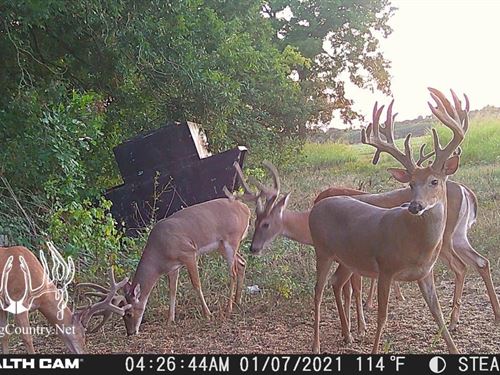 Online Only Auction, 680+/- Acres : Prague : Seminole County : Oklahoma