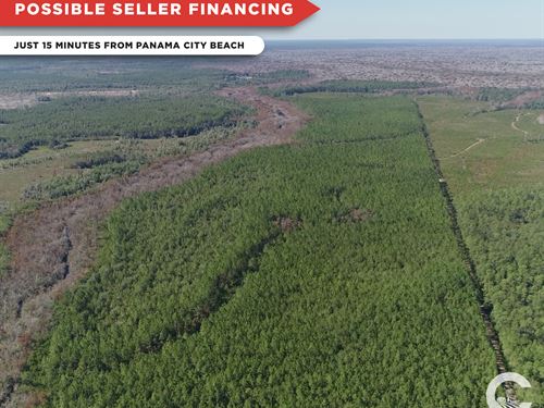 610 Acres of Recreation Land : Ebro : Bay County : Florida
