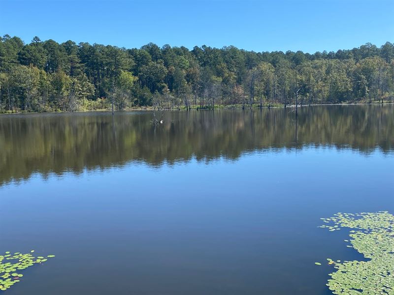 Piles Place 80 : Parks : Scott County : Arkansas